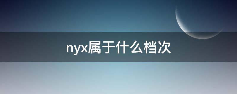 nyx属于什么档次（ny是什么档次）