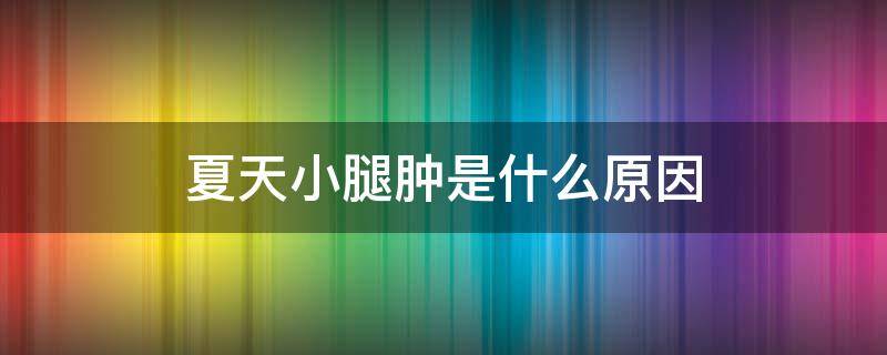 夏天小腿肿是什么原因（夏天小腿肿是什么原因引起的 女人）
