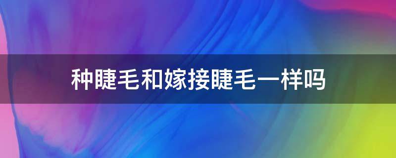 种睫毛和嫁接睫毛一样吗 种睫毛和嫁接睫毛一样吗图片