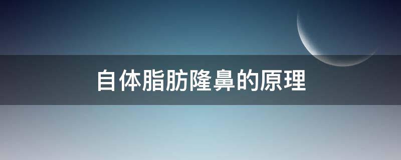 自体脂肪隆鼻的原理（自体脂肪隆鼻的原理图）