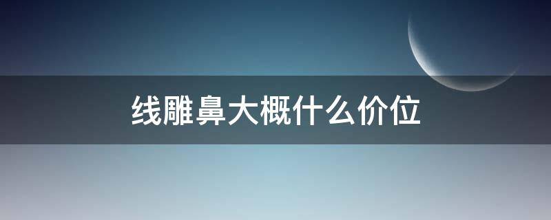 线雕鼻大概什么价位（线雕鼻效果好吗）