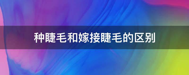 种睫毛和嫁接睫毛的区别 种睫毛和嫁接睫毛的区别是什么