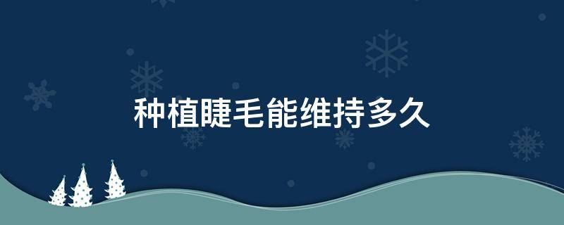 种植睫毛能维持多久（种植睫毛能维持多久才能不让进去水）