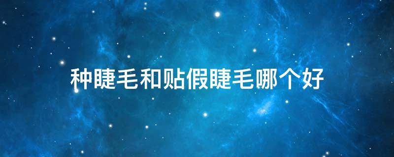 种睫毛和贴假睫毛哪个好（种睫毛和贴假睫毛哪个好看）