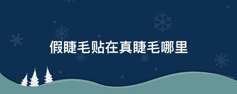 假睫毛贴在真睫毛哪里 假睫毛贴在真睫毛哪里好看
