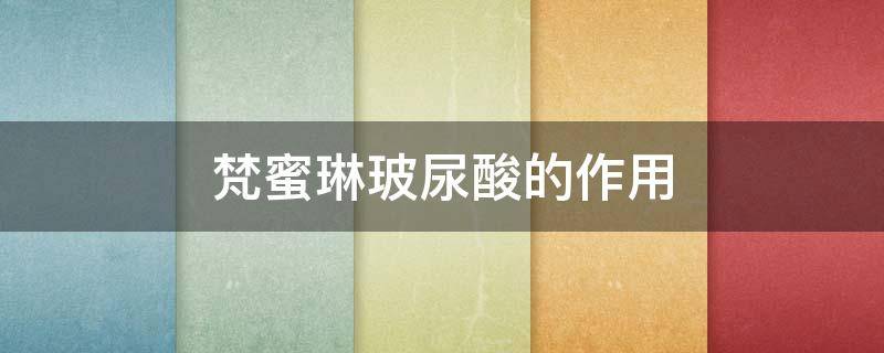 梵蜜琳玻尿酸的作用 梵蜜琳一套多少钱祛斑