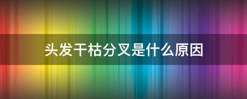 头发干枯分叉是什么原因（头发干枯分叉是什么原因造成的）