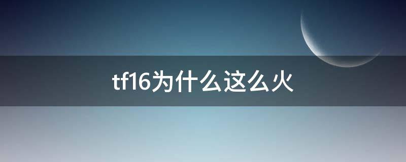 tf16为什么这么火 tf16会不会太红了