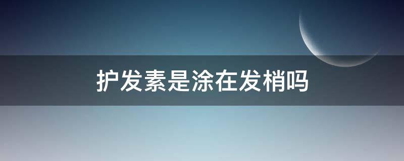 护发素是涂在发梢吗（护发素是涂在发梢吗还是头发）