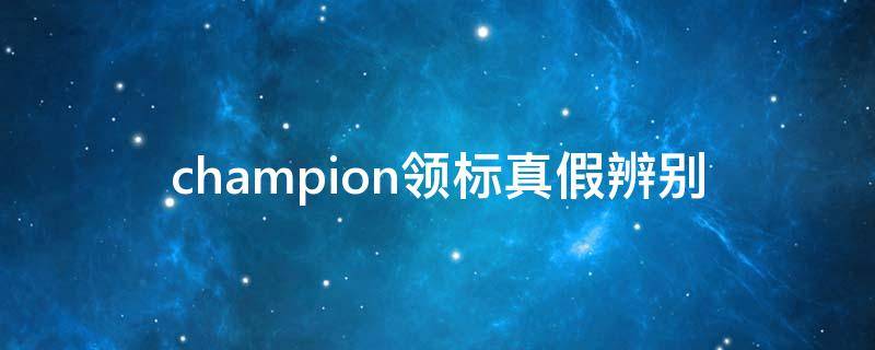 champion领标真假辨别 champion衣领标