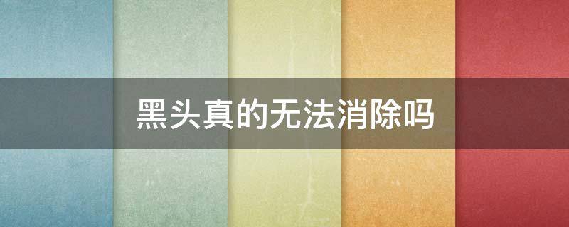 黑头真的无法消除吗 黑头真的无法消除吗