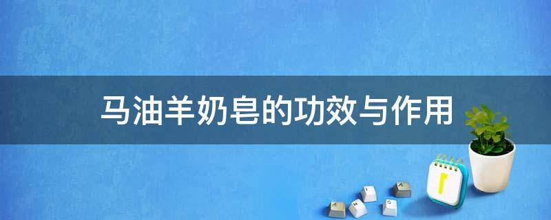 马油羊奶皂的功效与作用（马油羊奶皂正确使用方法）