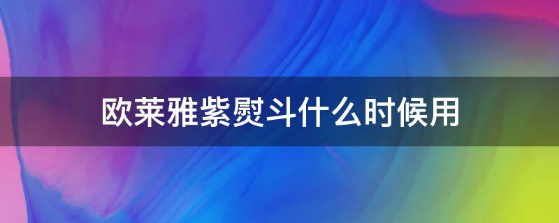 欧莱雅紫熨斗什么时候用（欧莱雅紫熨斗上市时间）
