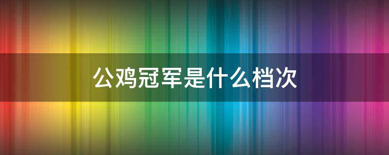 公鸡冠军是什么档次（公鸡冠军质量怎么样）
