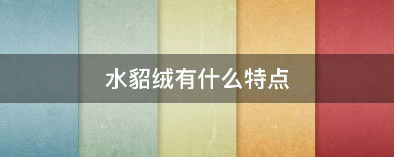 水貂绒有什么特点（水貂绒有什么特点和好处）