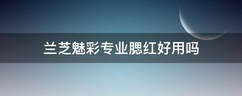 兰芝魅彩专业腮红好用吗（兰芝晶彩腮红）
