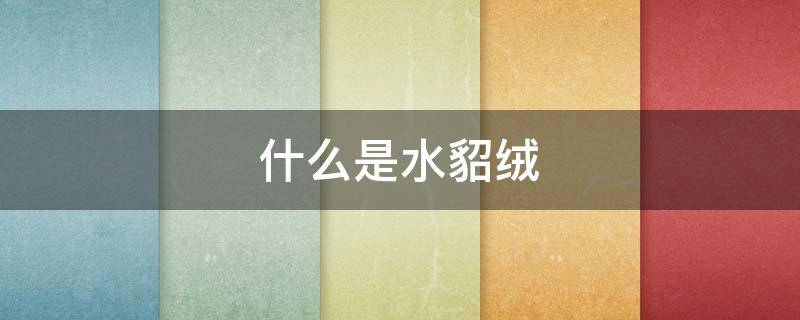 什么是水貂绒 什么是水貂绒,保暖好吗