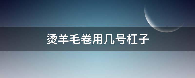 烫羊毛卷用几号杠子 烫羊毛卷要几号杠