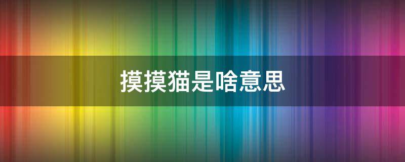 摸摸猫是啥意思 摸摸猫是啥意思网络用语