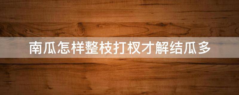 南瓜怎样整枝打杈才解结瓜多 南瓜怎样整枝打杈才解结瓜多㇏