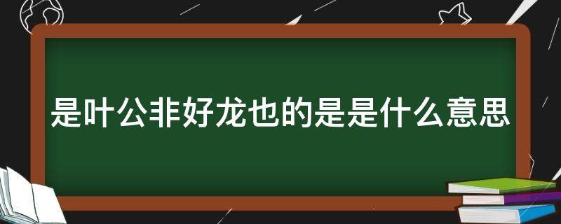 是叶公非好龙也的是是什么意思（是叶公非好龙也的是字是什么意思）