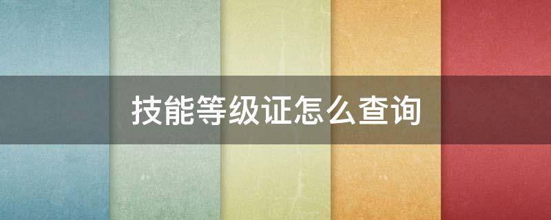 技能等级证怎么查询（技能等级证怎么查询证书编号）