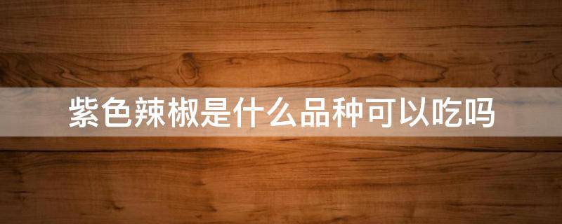 紫色辣椒是什么品种可以吃吗 紫色的辣椒图片大全