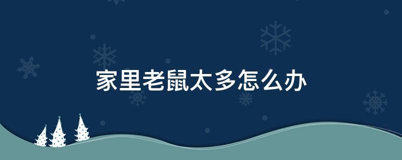 家里老鼠太多怎么办（家里老鼠太多怎么办教你几招灭鼠）