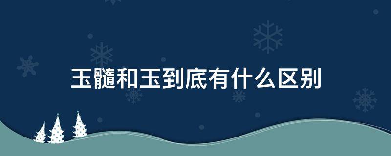 玉髓和玉到底有什么区别 玉髓和玉到底有什么区别图片
