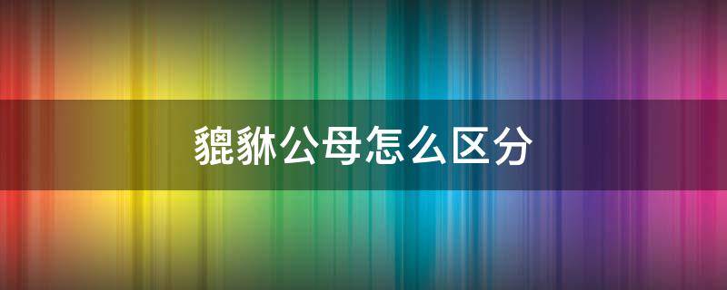 貔貅公母怎么区分 貔貅公母怎么区分图片黄金