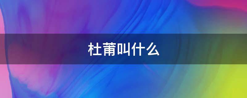 杜莆叫什么 杜莆被世人称为什么