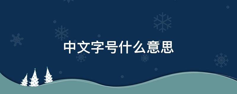 中文字号什么意思（中文字号是啥）