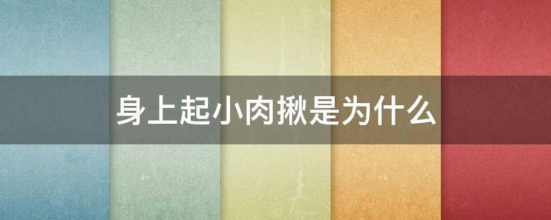 身上起小肉揪是为什么（身上起的小肉揪）