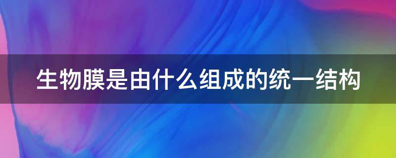 生物膜是由什么组成的统一结构 生物膜主要由哪些物质组成它们在膜结构中各起什么作用