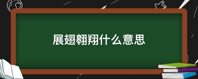 展翅翱翔什么意思（乘风破浪展翅翱翔什么意思）