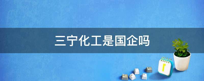 三宁化工是国企吗 三宁化工是国企吗?