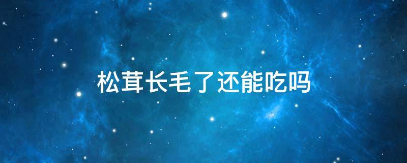 松茸长毛了还能吃吗（姬松茸发霉的图片）