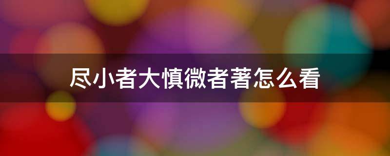 尽小者大慎微者著怎么看（尽小者大,慎微者著怎么看）