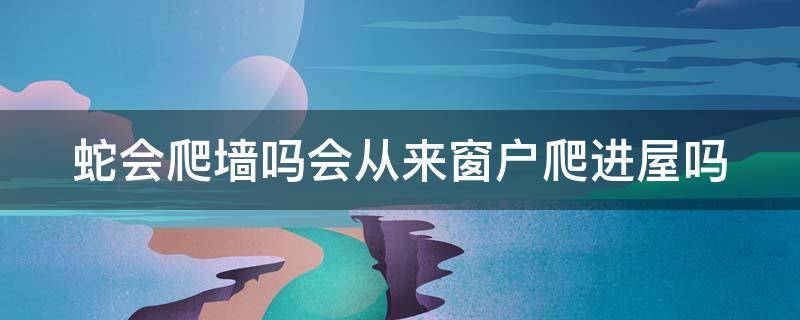 蛇会爬墙吗会从来窗户爬进屋吗 蛇会爬墙吗会从来窗户爬进屋吗视频