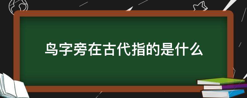 鸟字旁在古代指的是什么（鸟字旁在古代指的是什么?）