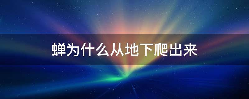 蝉为什么从地下爬出来（蝉为什么从地下爬出来呢）