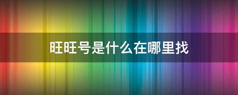 旺旺号是什么在哪里找（旺旺号在什么地方找）