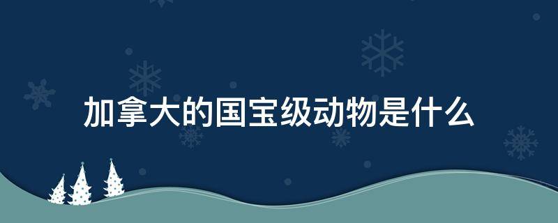 加拿大的国宝级动物是什么（加拿大动物国宝图片名字）