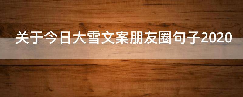 关于今日大雪文案朋友圈句子2021 今日大雪朋友圈说说