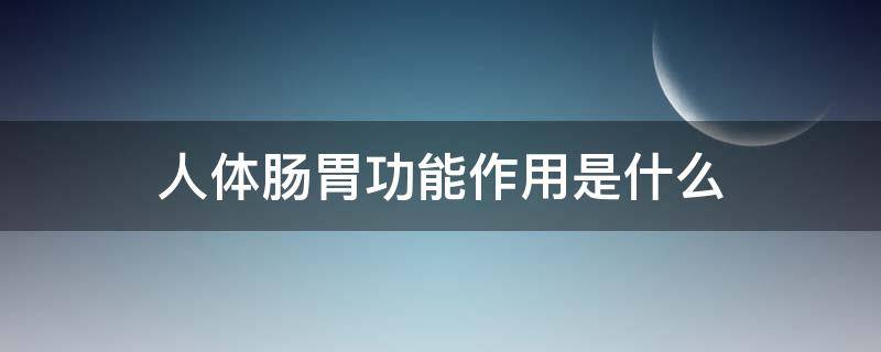 人体肠胃功能作用是什么（人的肠胃功能）