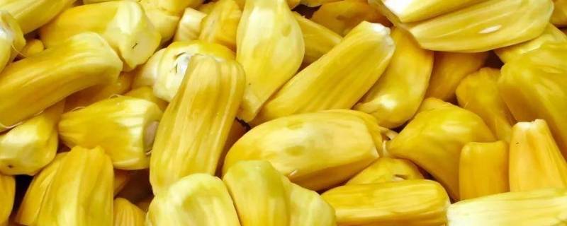 菠萝蜜放冰箱保鲜能放几天（没有剥的菠萝蜜放冰箱保鲜能放几天）