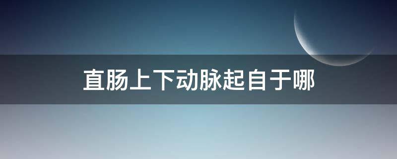 直肠上下动脉起自于哪（直肠上下动脉起自于哪些动脉）