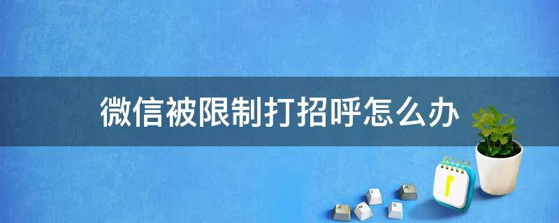 微信被限制打招呼怎么办 微信打招呼频繁被限制登录不解要等多久