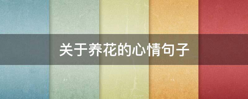 关于养花的心情句子（关于养花的心情说说）