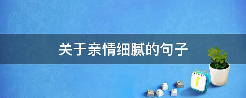 关于亲情细腻的句子 关于亲情细腻的句子简短